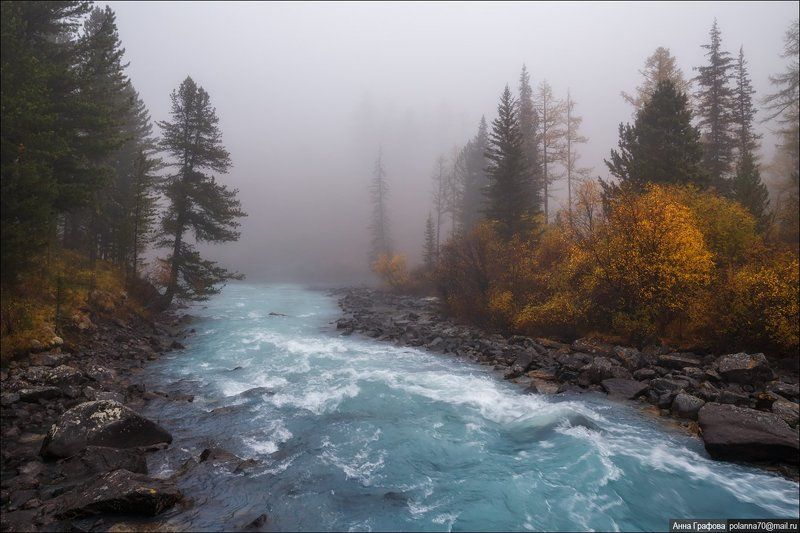 Алтай, Аня графова, Горный алтай, Горы, Катунский хребет, Кучерла, Кучерлинское озеро, Осень, Туман Туманное утро Кучерлы.photo preview
