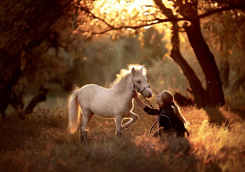 пушистая осень..photo preview