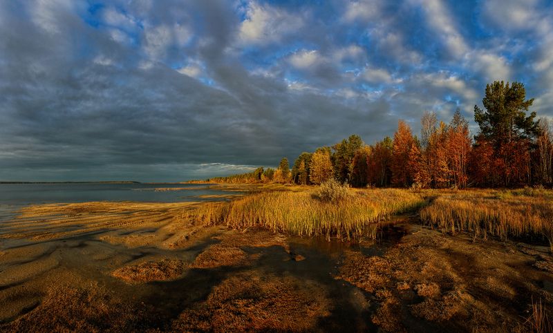Желтый, Озеро, Озеро Арантур, Осень, Рассвет Осень на Кондинских озерах фото превью