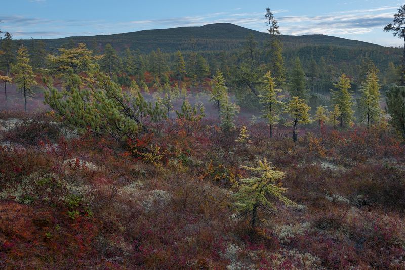 Утро в лесотундре.Озеро Джека Лондона.photo preview