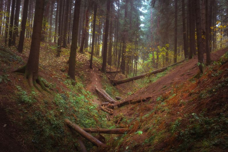 Красногорск Осеньphoto preview