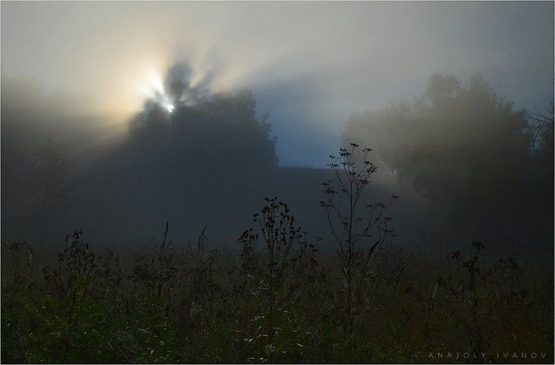 туман, утро, лучи, пейзаж Утро туманноеphoto preview