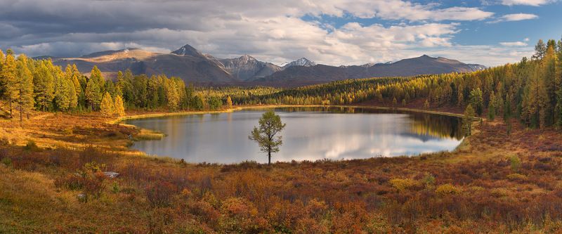 иллюстрация глобальной проблемыphoto preview