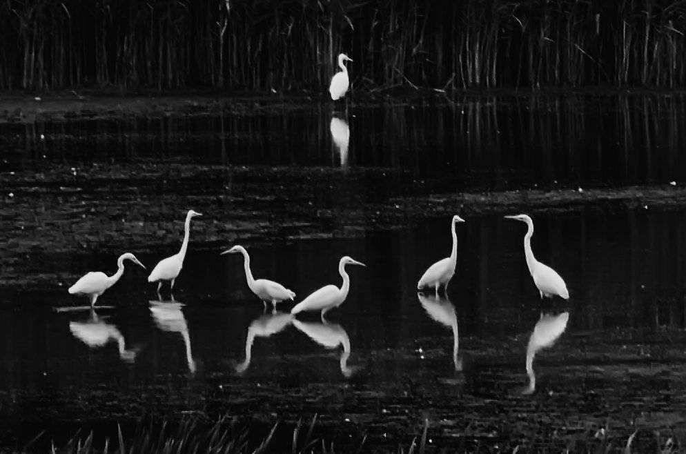 , Валерий Кондратов