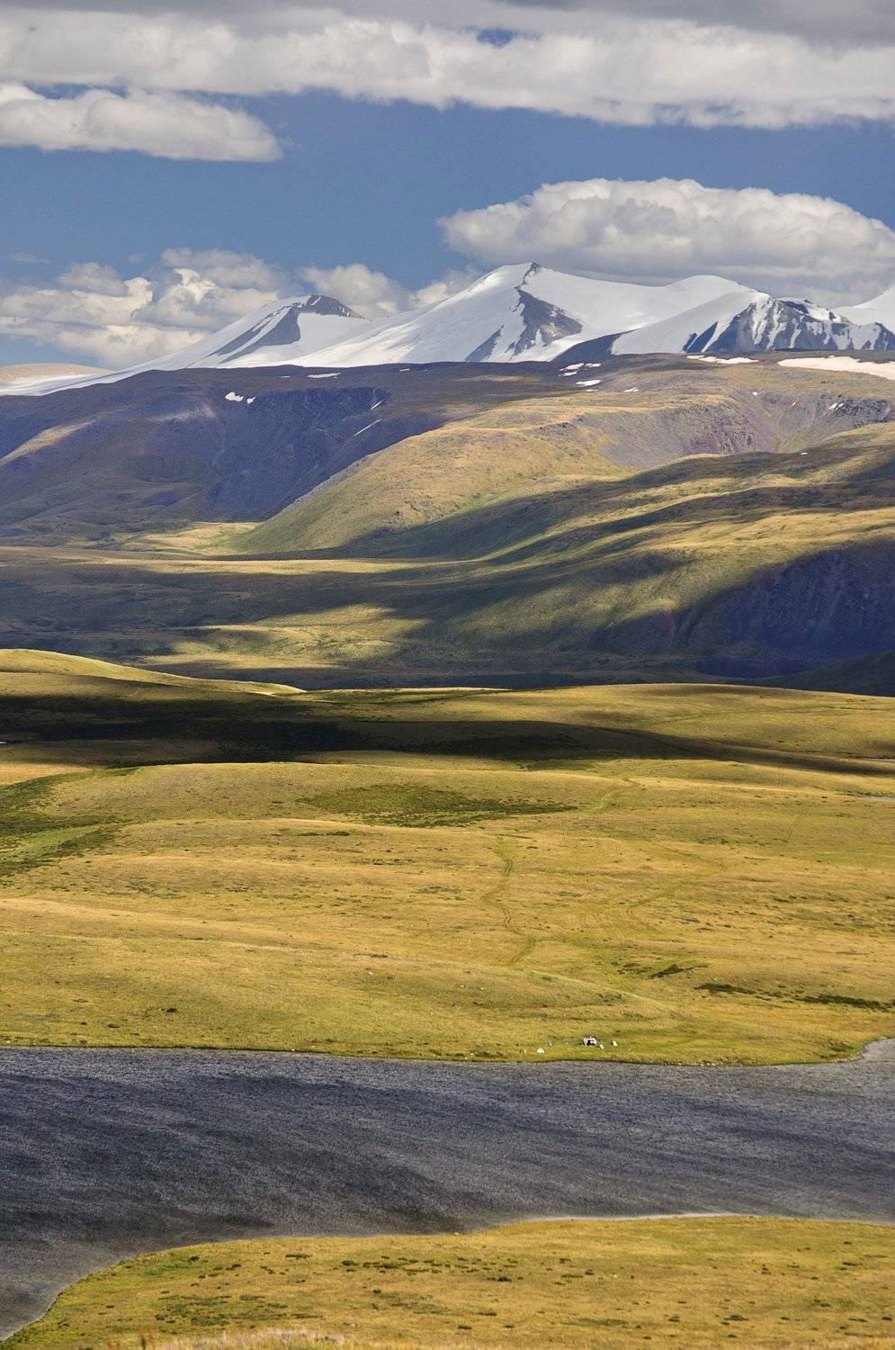 тени на спинах холмов. Автор: Алексей Кретов , Алексей Кретов