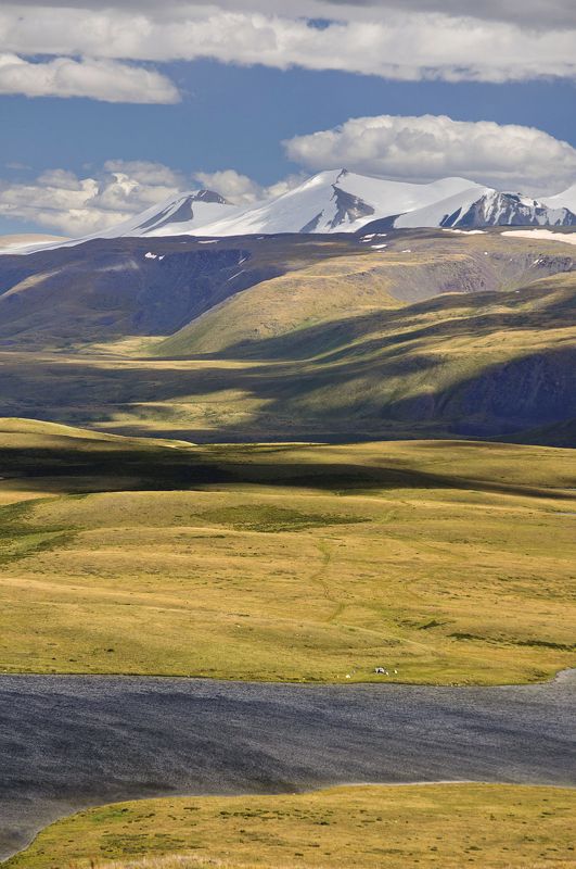 тени на спинах холмовphoto preview