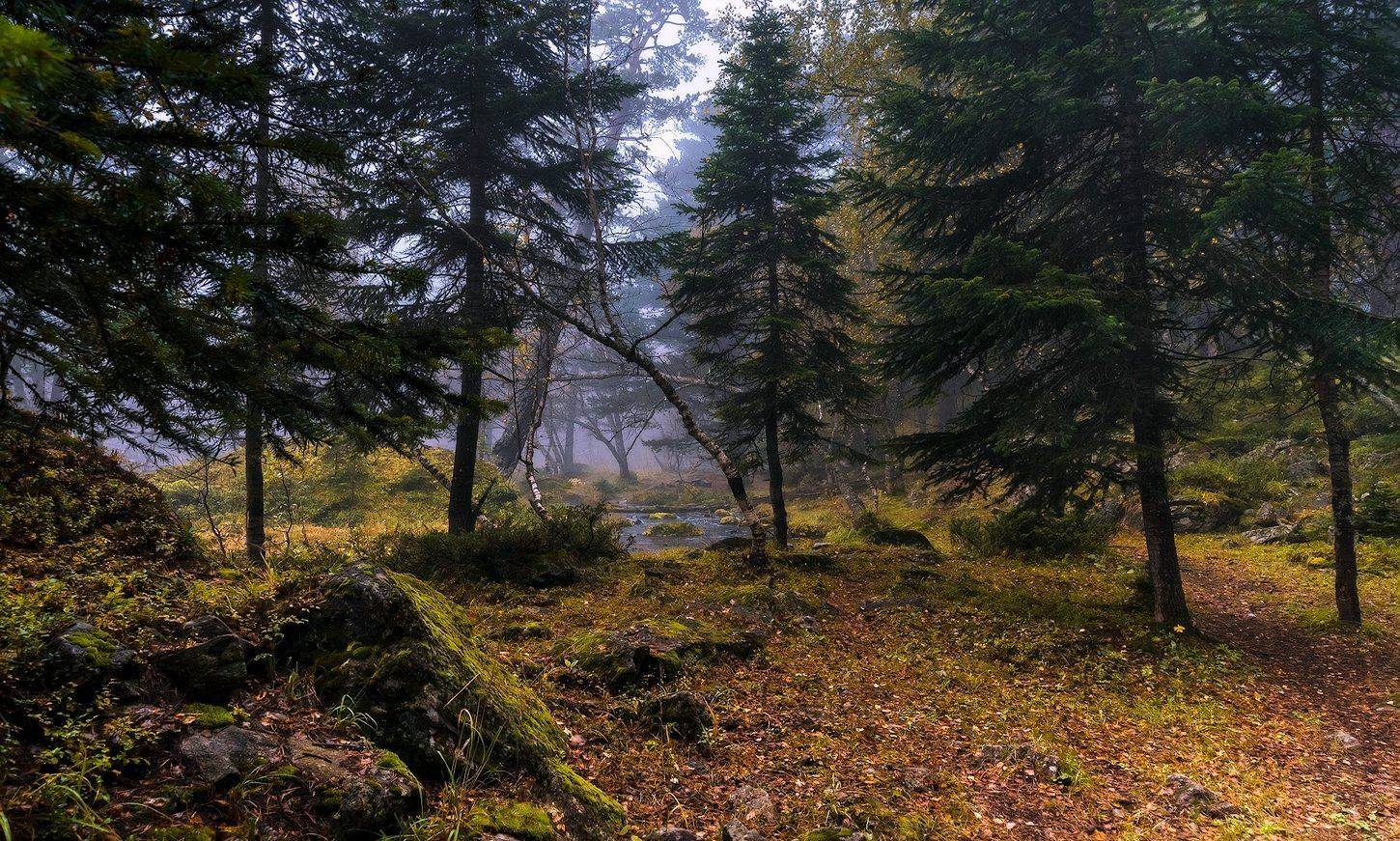 Архыз., Непогода, Осень, Туман, Олег Скан