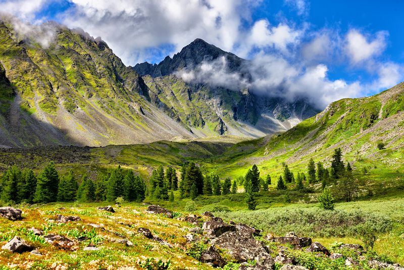 В долине Толтыphoto preview