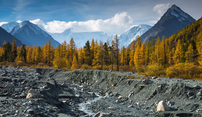 2016, Алтай, Белуха, Гора, Горы, Лиственница, Осень, Поход, Река ***photo preview