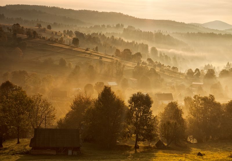 Был полон солнцем новый день...photo preview