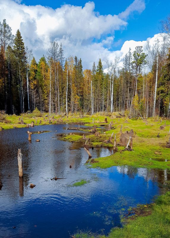 Осенний Уралphoto preview