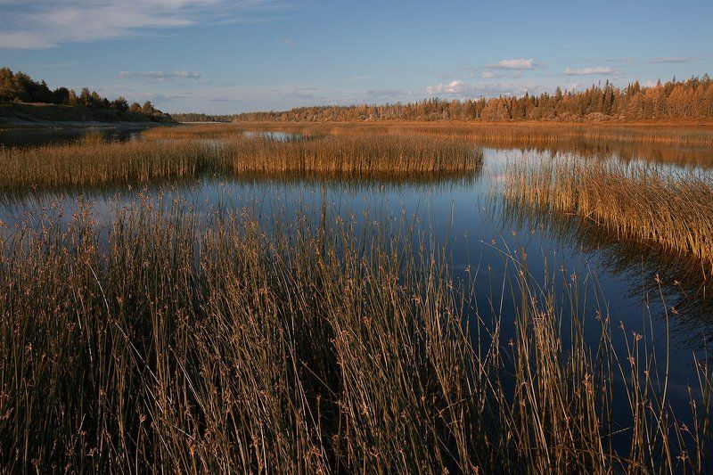 *********photo preview