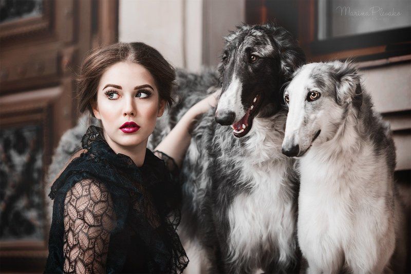 Борзые, Девушка, Портрет, Собака, Собаки Русские борзыеphoto preview