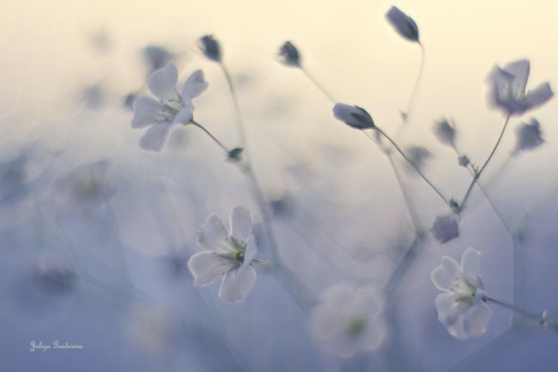 ♥ мечты о летеphoto preview