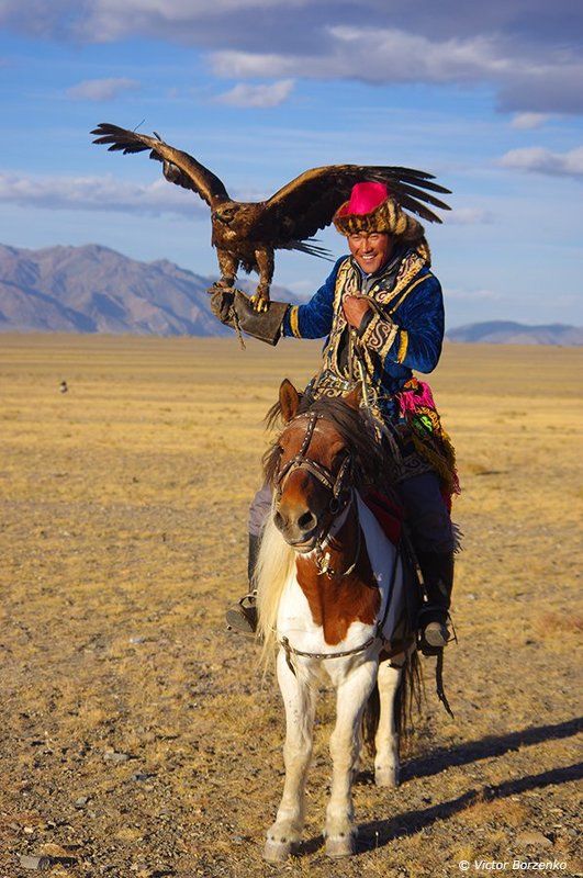 беркут, всадник, монголия, орел, охотник, беркутчи Беркутчиphoto preview