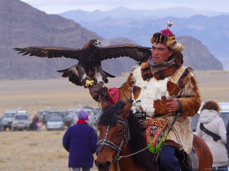 беркут, монголия, орел, охотник, беркутчи ***photo preview