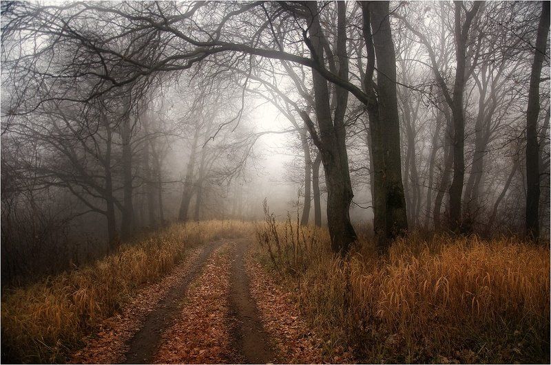 Дремлоphoto preview