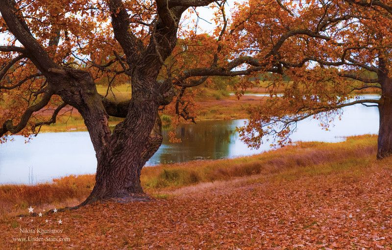autumn, yellow, trees, leaves, sky, lake, red, forest, color, water, river, blue, light, clouds, tree, fall, leaf, oak Autumnphoto preview