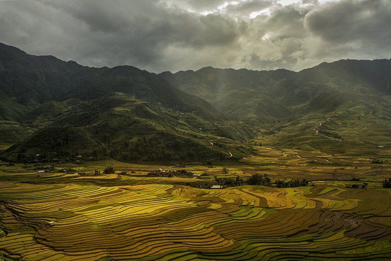 Tu Le, Vietnamphoto preview