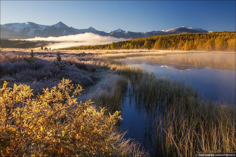 алтай, аня графова, горный алтай, горы, киделю, осень, улаганский перевал Золото морозного утра.photo preview