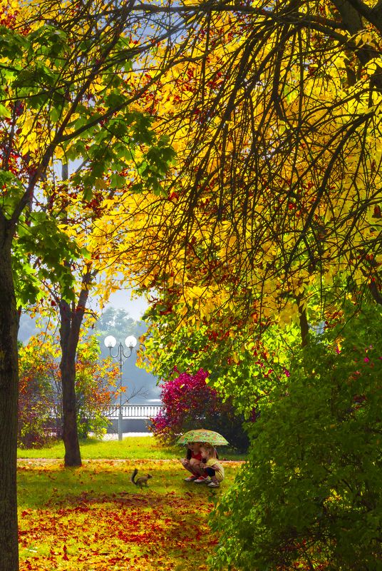 белка, брест, дети, листья, осень Пришла рыжая осень ) .photo preview