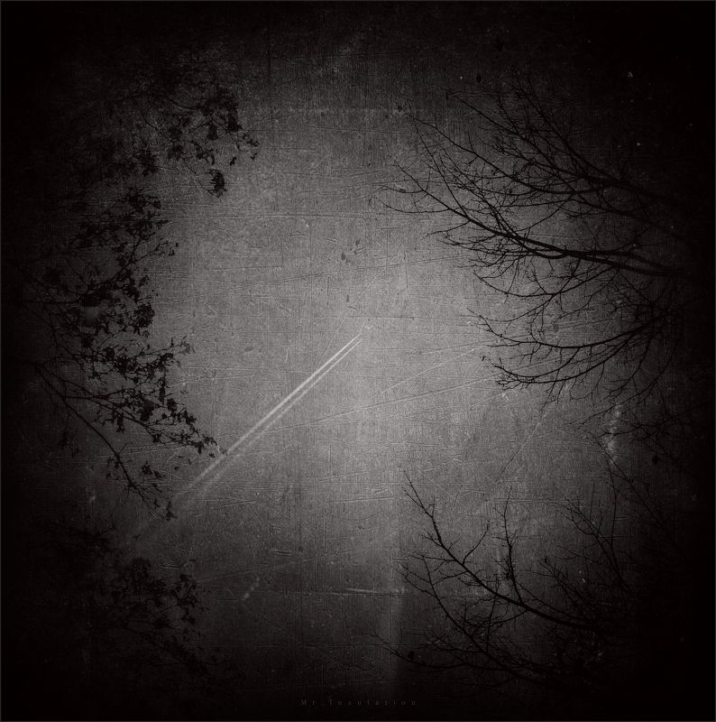 Нежностьphoto preview