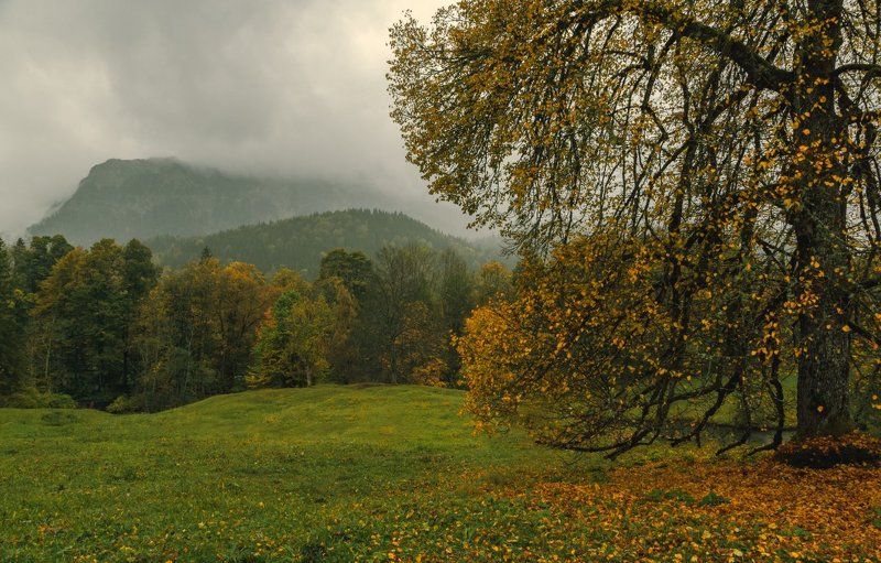 Горы, Дождь, Лес, Осень Осенний марафонphoto preview