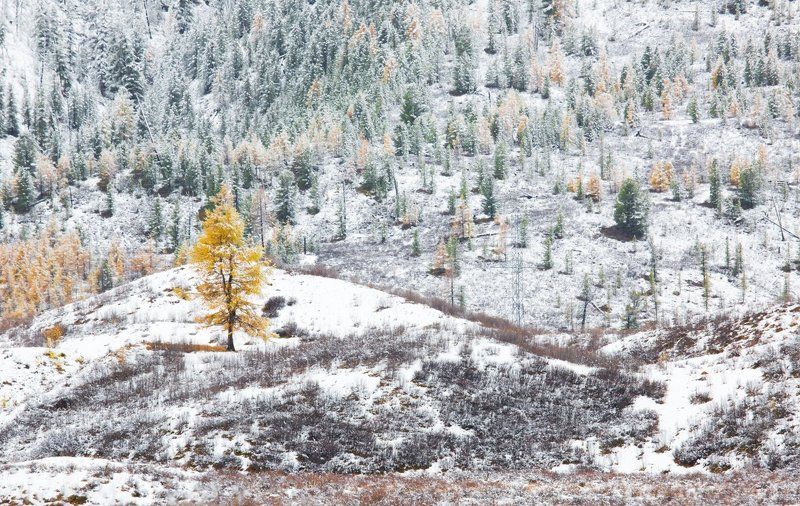 Удивленные убеленные.photo preview