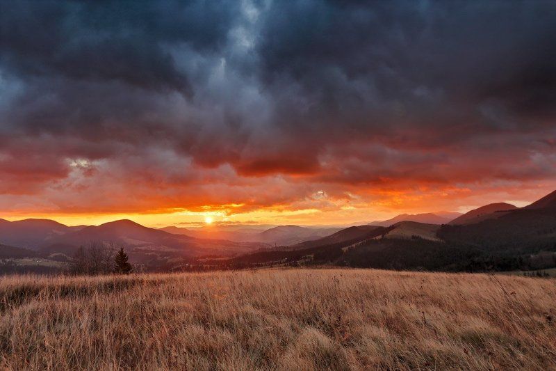 Горы, Карпаты, Ноябрь, Осень, Рассвет, Утро Багряный рассветphoto preview