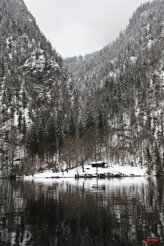 Königseephoto preview