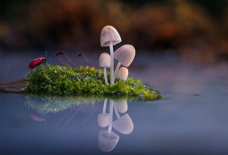 Робинзонphoto preview