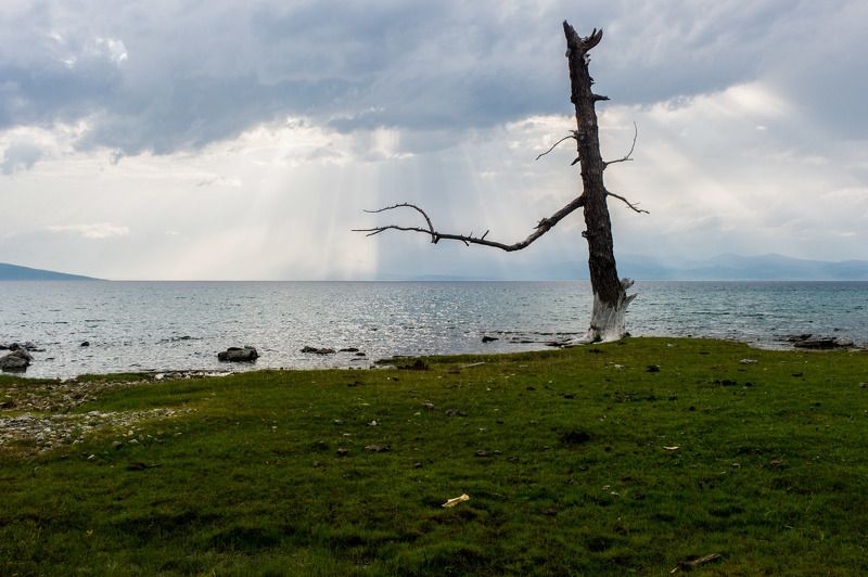 Монголия, Хубсугул озеро Хубсугул (Северная Монголия)photo preview