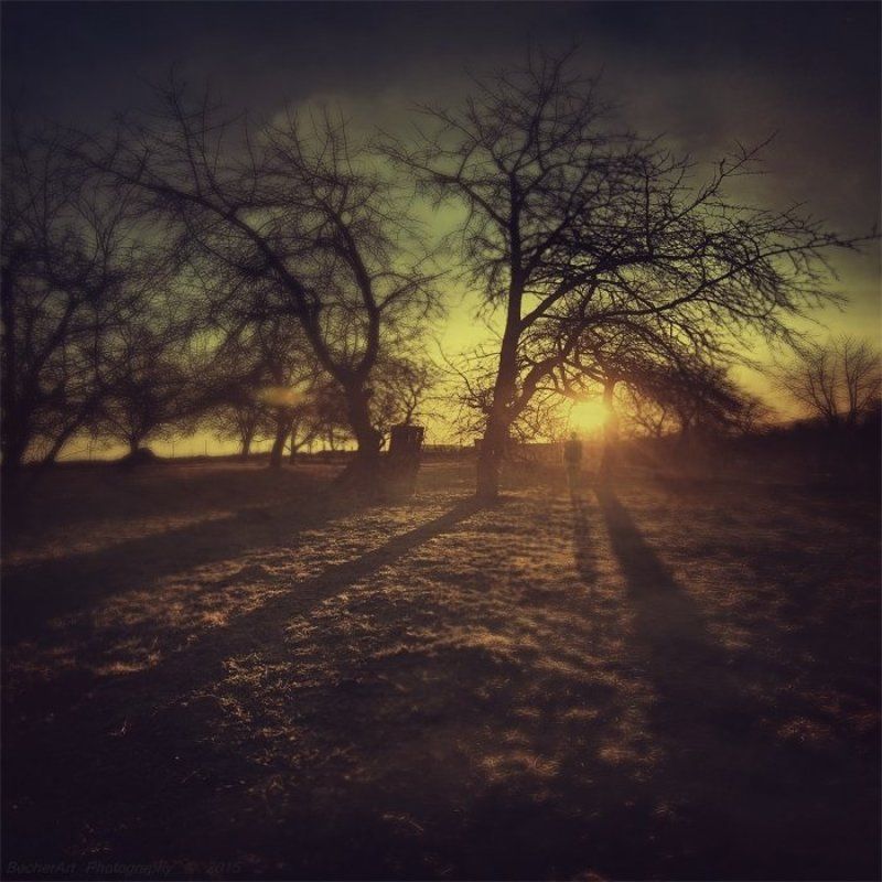 Location:Silence (Part.XI.)photo preview