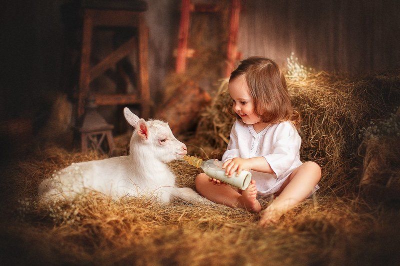 козленок девочка  В хлевуphoto preview