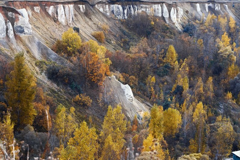 Воронеж Осеньphoto preview