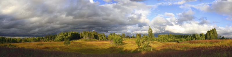 лето, поле , тучи Русский пейзаж )photo preview