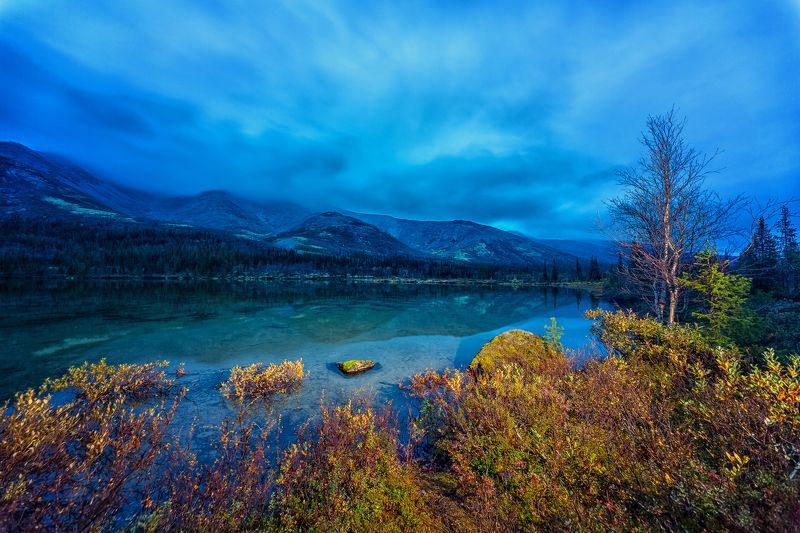 #природа #Россия #colour #colourful #forest #autumn #snow #russia #nature #nationalgeographic #travel #water #love #lovethis #canon #кольский #кольскийполуостров #natureonly #tree #traveltheworld #september #view #beautiful #photographer #river #feo_man # Хибиныphoto preview