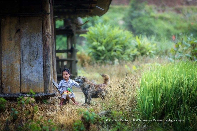 baby waitphoto preview