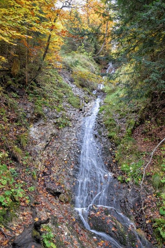 Серебряные нити в лесу Баварских Альпphoto preview