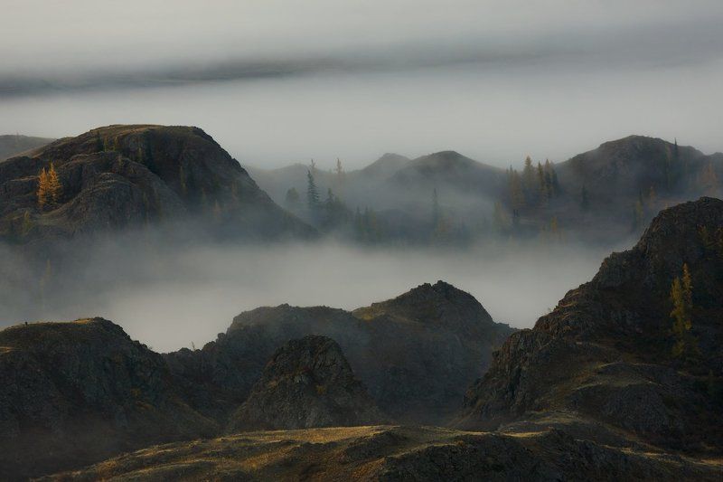 Мила Мне недосказанность Мировphoto preview