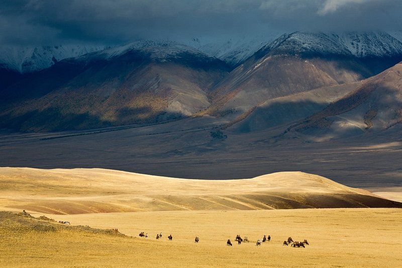Вечерний свет.photo preview