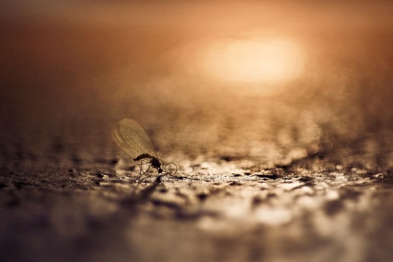 Солнечный удар.photo preview