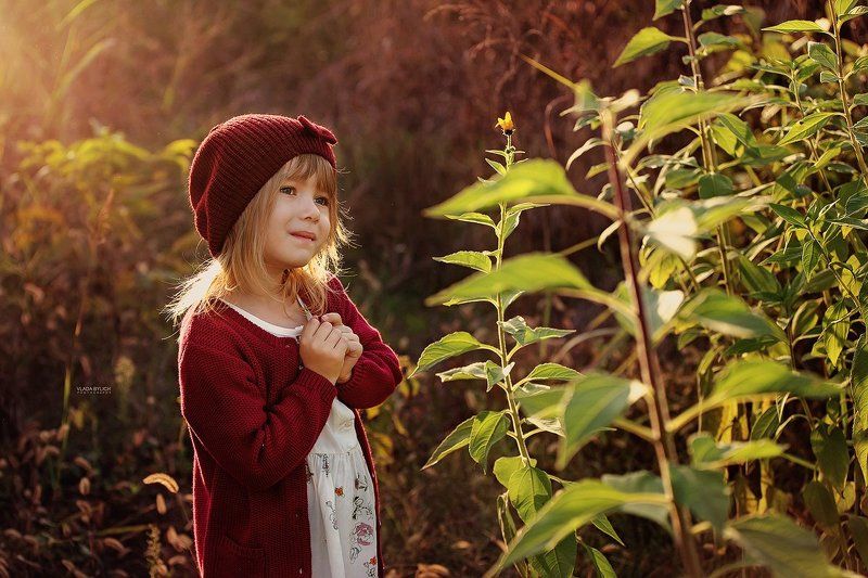 семейный фотограф, фотограф в Краснодаре, семейный фотограф в Краснодаре, детский фотограф, фотограф ростов, влада былич, фотограф влада былич Ариаднаphoto preview