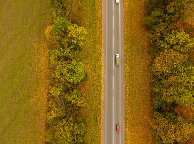 Дорога в осеньphoto preview