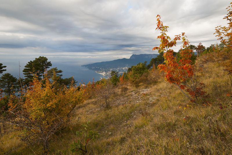 Пасмурным утром октября...photo preview