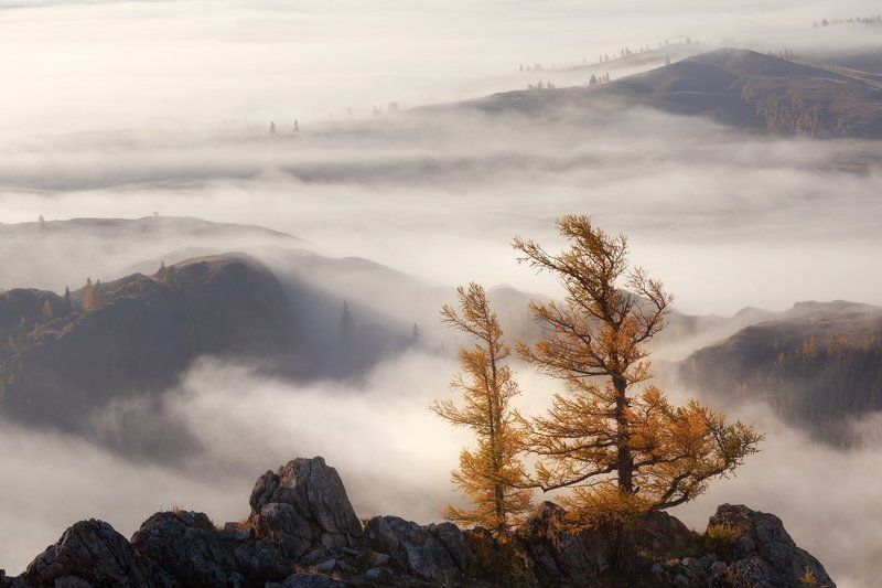 Удел Непокорённых - на Вершинах!photo preview