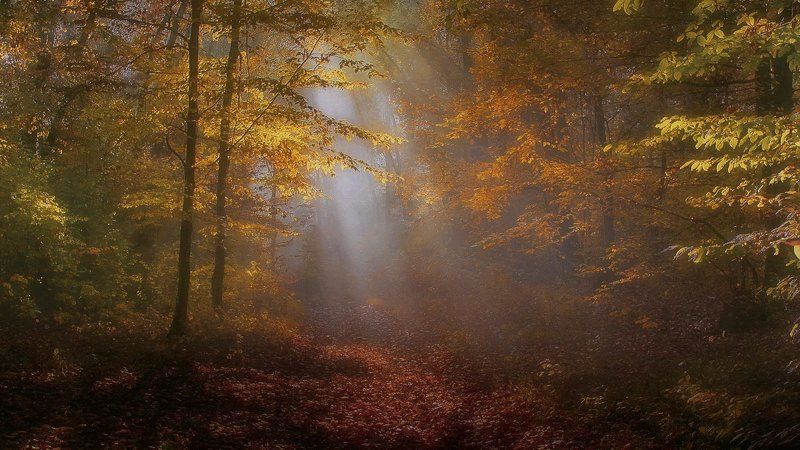 Autumn daysphoto preview