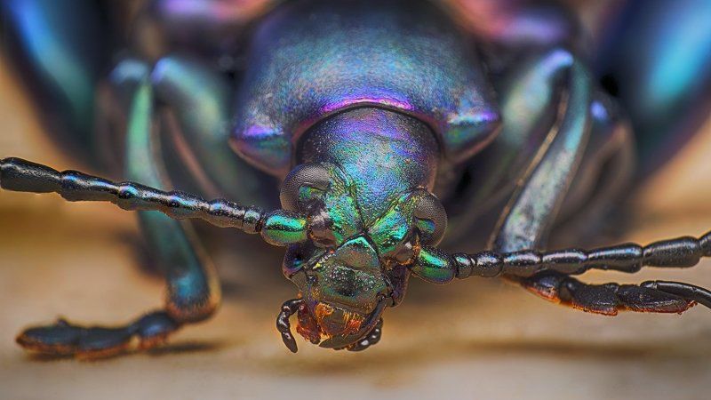 Привет Всем!photo preview