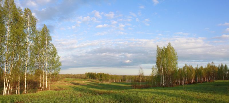весна Русский пейзаж )photo preview