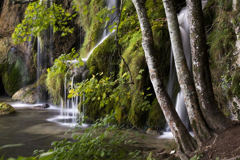 Waterworld Xphoto preview